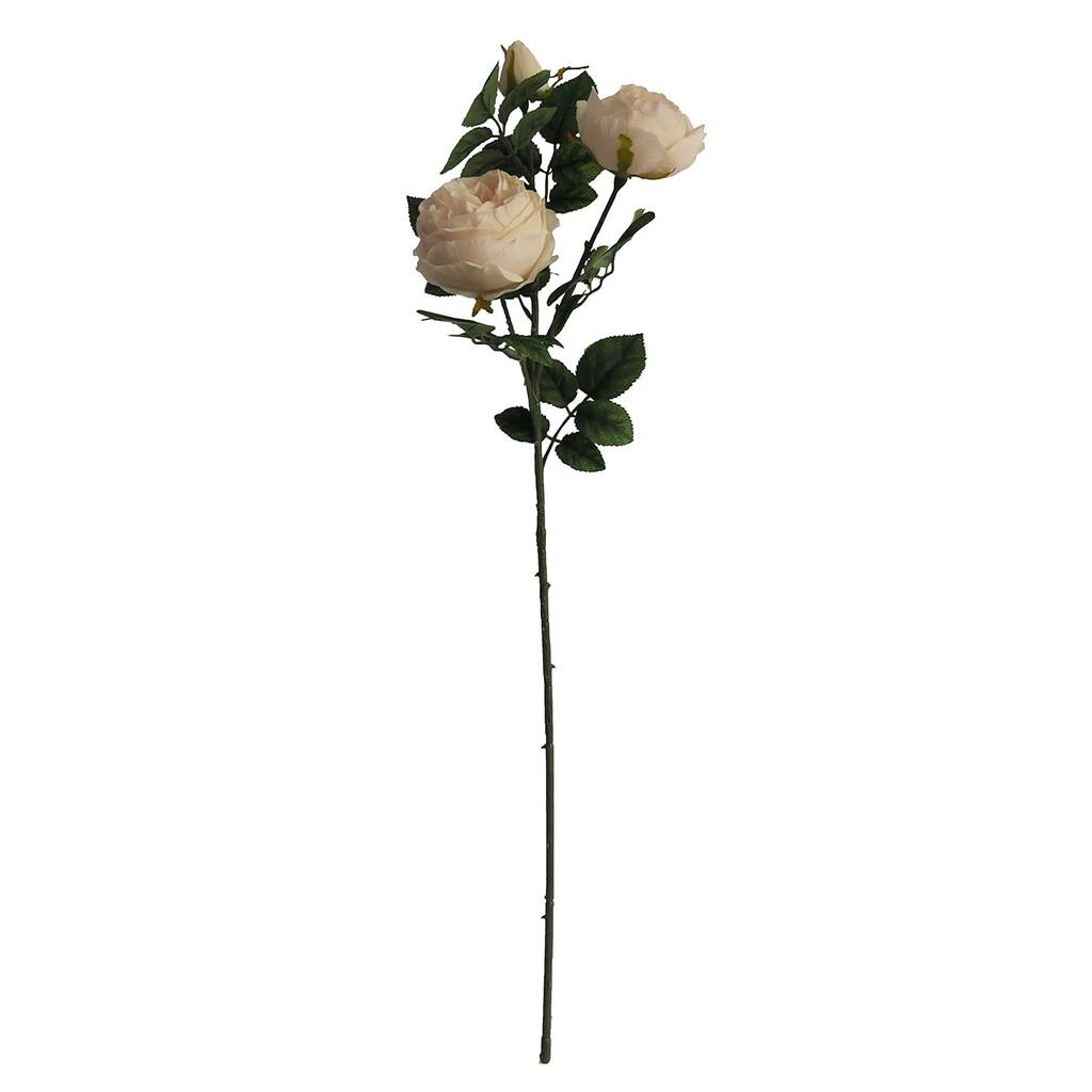 10461680_1.jpg img